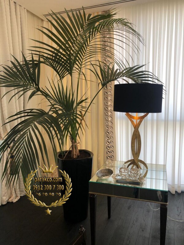 پرده مدرن ورتیکال با دکور مینیمال و نورپردازی طبیعی پرده ورتیکال مدرن با گلدان بزرگ برگپهن و آباژور لوکس در دکوراسیون داخلی